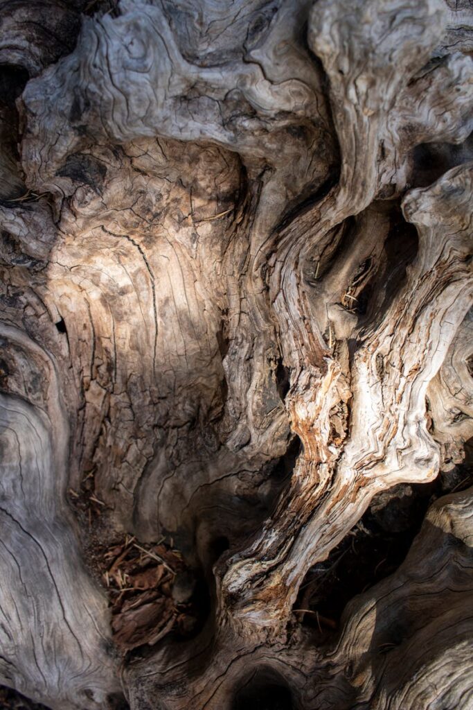 Vinyl Vloer Eiken Licht